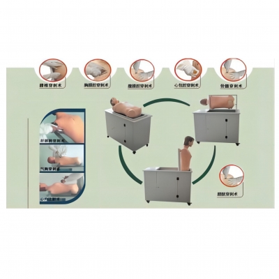 高級(jí)全自動(dòng)多種穿刺叩診電腦模擬人