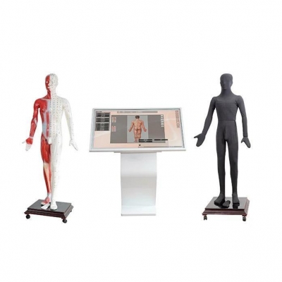 多媒體人體針灸穴位交互數(shù)字平臺(tái)