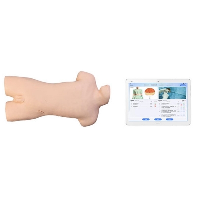 交互式骨髓穿刺操作訓(xùn)練模型（平板無(wú)線系列）