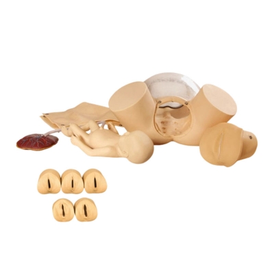 高級(jí)分娩綜合技能訓(xùn)練模型