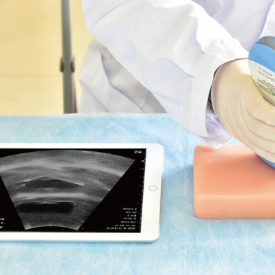 B超膽囊訓(xùn)練模塊