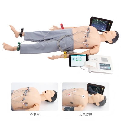 高級(jí)心電監(jiān)護(hù)訓(xùn)練模擬人